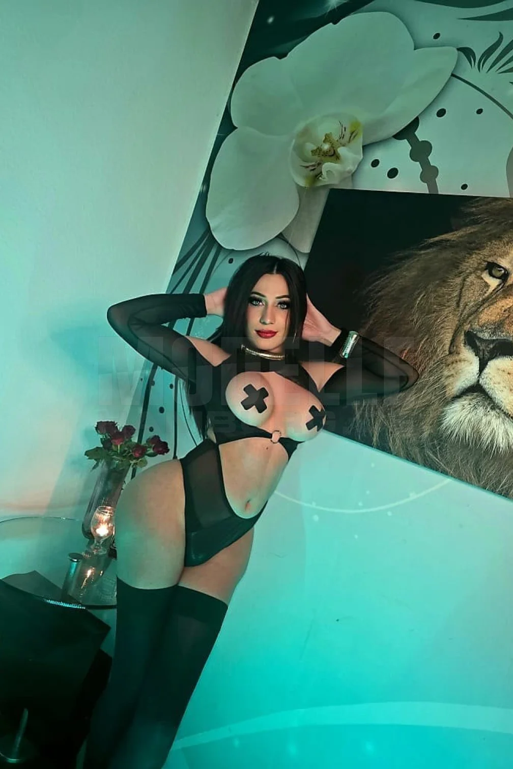 TS- Vanessa, 28, 170cm, 64kg, 80 D