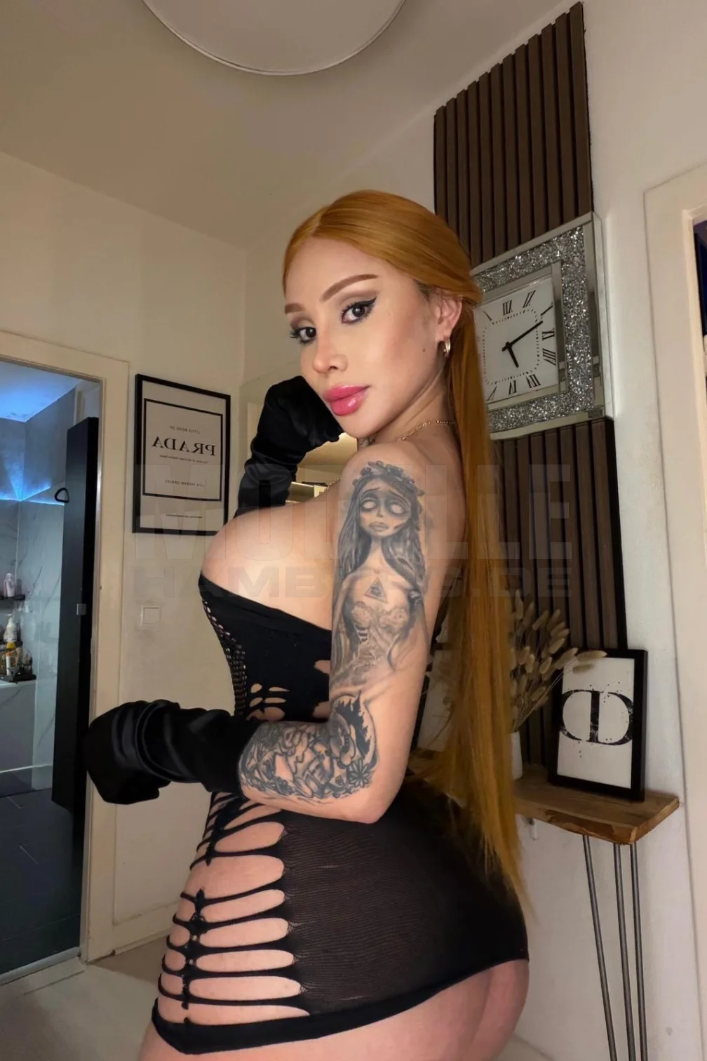 Sophimelxox, 21, lateinamerikanisch, Transsexuelle in Hamburg-Billstedt